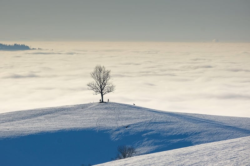 Landscape Image
